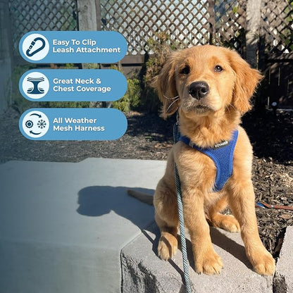 Best Pet Supplies Voyager Step-in Air Harness - All Weather Mesh, Reflective, No Pull Harness for Dogs, Cats - Secure with Hook & Loop Fastener, Buckle, Double D-Rings - Royal Blue, XL