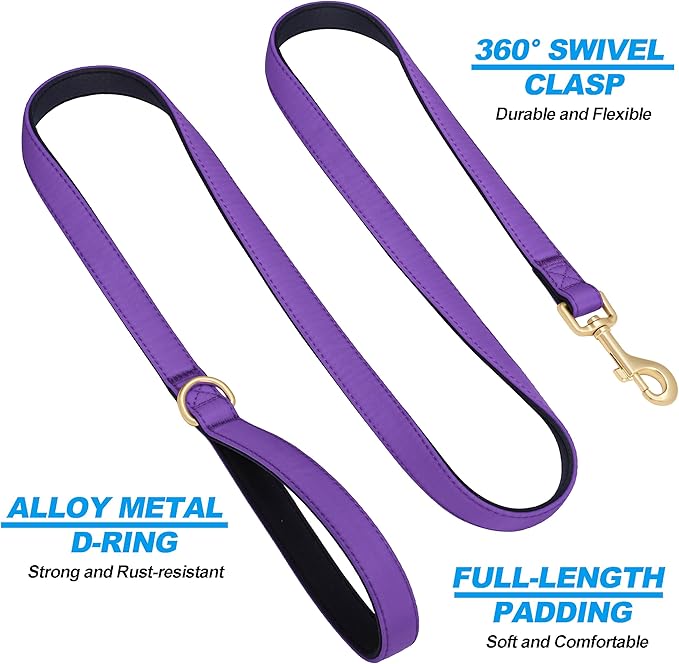 Didog 5FT Colorful Nylon Dog Leash with Soft Full-Length Padding, Lightweight and Durable Pet Leash for Small Dogs, Purple, S