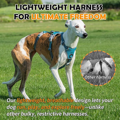 Huntboo Escape Proof Dog Harness – No Pull, No Slip, Fully Reflective, Adjustable 7-Point Design for Small, Medium, and Large Dogs – Lightweight for Outdoor Training & Hiking (Teal, L)