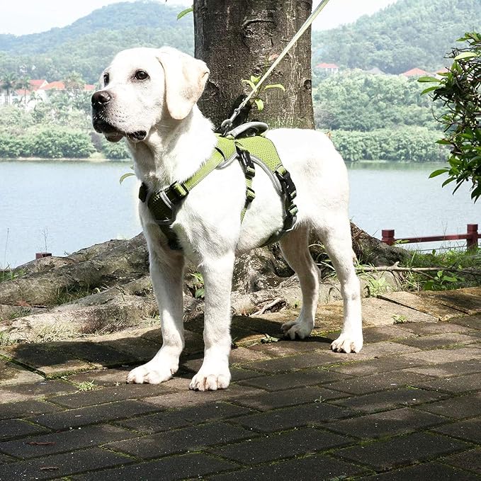 BELPRO Multi-Use Support Dog Harness, Escape Proof No Pull Reflective Adjustable Vest with Durable Handle, Dog Walking Harness for Big/Active Dogs (Green, S)