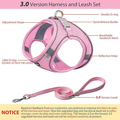 AIITLE Comfortable Dog Harness and Leash Set for Walking - Step in Vest Harness,Reflective Bands, Adjustable No Pull Puppy Essentials, for Small Dogs and House Cats Pure Pink XS