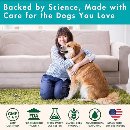 Allergy Relief for Dogs - Dog Itchy Skin & Dog Skin Allergies Treatment Chews with Natural Antihistamine, Colostrum, Salmon Oil, Probiotics for Seasonal Allergies Dogs - 120 Beef Flavor Soft Chews