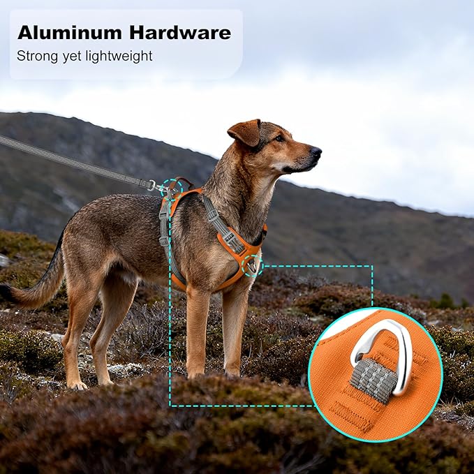 ApakBak No Pull Dog Harness – Adjustable Reflective Nylon Vest for Small Medium Large Dogs, Escape Proof Training Harness with Leather Control Handle, Lightweight Aluminum Hardware (Orange, XL)