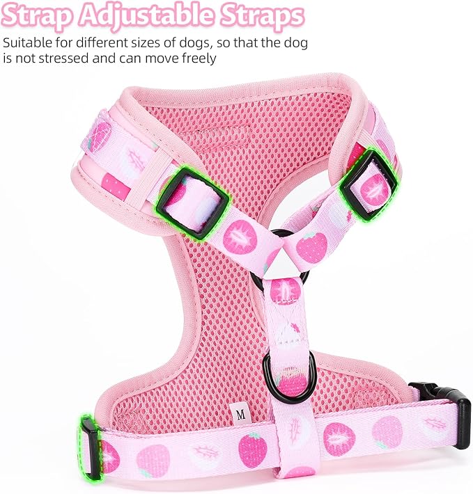 Dog Harness and Leash Set, Adjustable Dog Harness, Dog Leash, No Pull No Choke Puppy Harnesses for Walking Training for Small Medium Pet (Strawberries, L(Chest 18.5-27.1", Neck 14.5-20.1"))