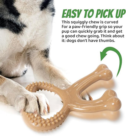 IPTPAS Durable Dog Chew Toy for Aggressive Chewers, Indestructible Nylon Bone Dental Care Teeth Cleaning Chew Toy for Small, Medium and Large Dogs, Keep Them Busy, Irresistible Beef Flavor (Brown)