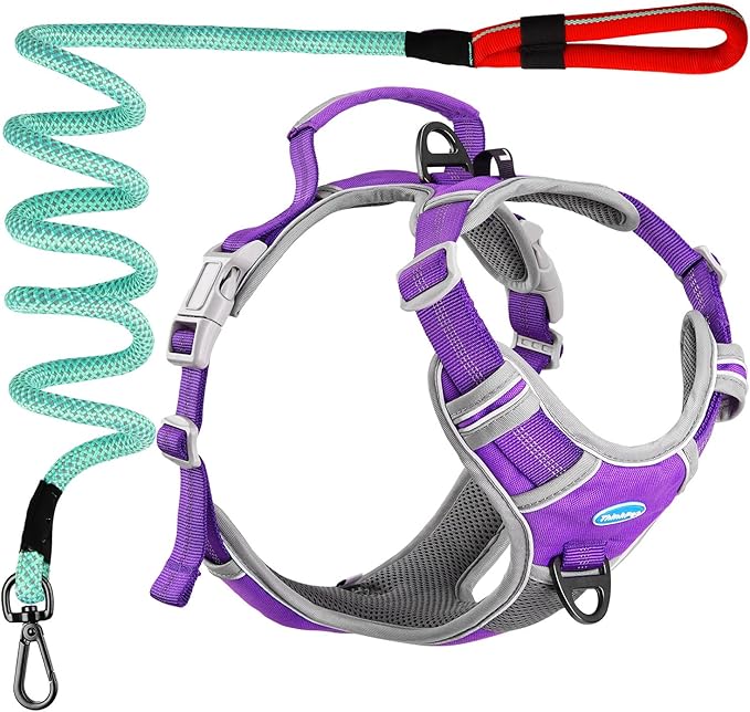 ThinkPet No Pull Harness Set Breathable Sport Harness with Handle - Reflective Padded Dog Safety Vest with Reflective Neon Dog Leash L Harness Leash Pack Purple