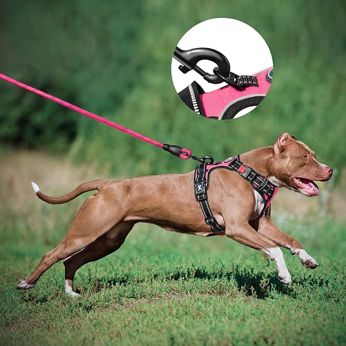 PoyPet Dog Harness and Leash Combo, Escape Proof No Pull Vest Harness, with 5 Feet Leash, Reflective Adjustable Soft Padded Pet Harness with Handle for Small to Large Dogs(Pink,XL)
