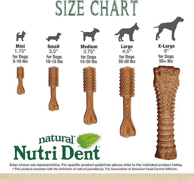 Nylabone Nutri Dent Dog Dental Chews - Natural Dog Teeth Cleaning & Breath Freshener - Dental Treats for Dogs - Filet Mignon Flavor, Medium (20 Count)