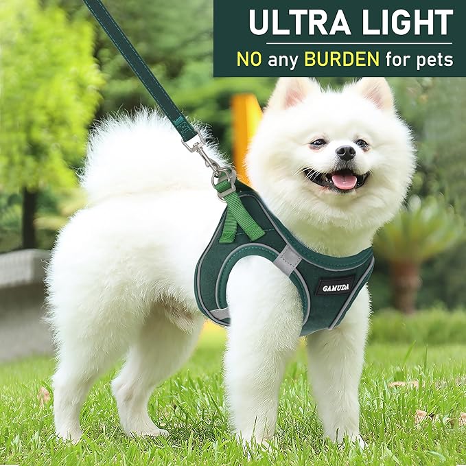 GAMUDA Small Pet Harness Collar and Leash Set, Step in No Chock No Pull Linen Fabric Soft Mesh Dog Vest Harnesses Reflective for Dogs Puppy Cats Kitten Rabbit (Green, XS)