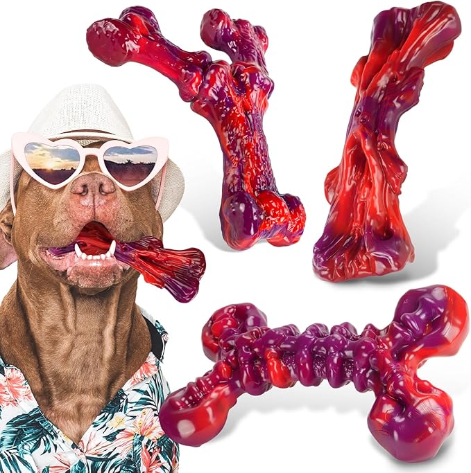 Long-Lasting Nylon Dog Chew Toys for Aggressive Chewers, Heavy-Duty Chew Bones for Medium & Large Dogs 25–80 lbs, Beef Flavor, 3-Pack (Red)