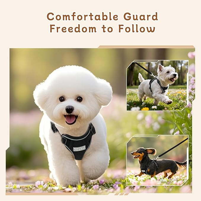 Small Dog Harness and Leash Set, Reflective Soft Breathable Mesh Vest, 3 Buckles, Adjustable Neck and Chest,Step in Dog Harness for Walking, Running, Training, Black, XS