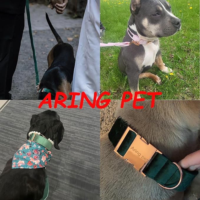 ARING PET Velvet Dog Collar and Leash Set, Soft Dog Collar and Leash, Adjustable Collars for Dogs