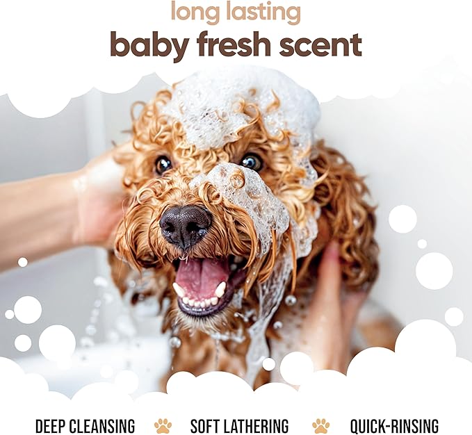 Vanilla & Shea Butter Dog Shampoo by Buddycare | Moisturising Shampoo for Dogs | Vanilla & Shea Butter Scented | with Aloe Vera and Pro Vitamin B5 (169.07oz)