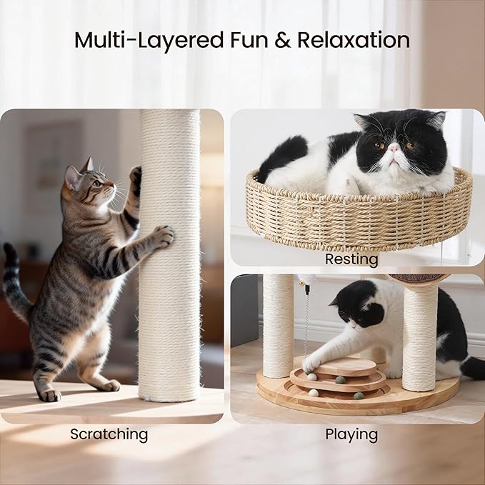Solid Wood Cat Tree,Modern Cat Tower with Scratching Posts, Hand-Woven Beds & Toys | Heavy-Duty 20lbs Capacity,Indoor Cat Furniture for Big Cats