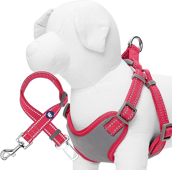 Blueberry Pet Pastel Colored Reflective Dog Harness with Seatbelt Clip – Adjustable No-Pull Pet Vest for Walking and Car Safety, Small Size in Very Berry