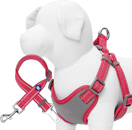 Blueberry Pet Pastel Colored Reflective Dog Harness with Seatbelt Clip – Adjustable No-Pull Pet Vest for Walking and Car Safety, Small Size in Very Berry