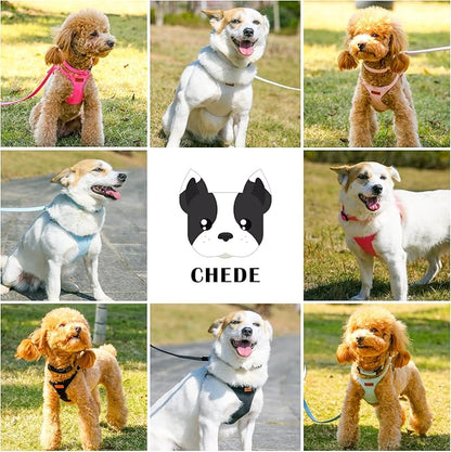 No Pull Dog Harness- Lightweight, Soft, Adjustable Small Harness Collar and Leash Set, Suitable for Cats Puppy Small and Medium-Sized Dog Outdoor Training and Running (Blue, XS)