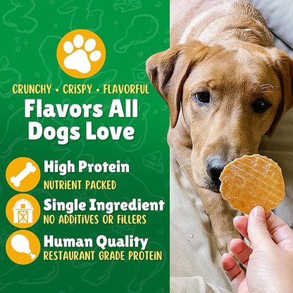 Chicken Chips Dog Treats – Made in USA, All Natural Chicken Jerky Treats, Grain-Free, High Protein, Single Ingredient, Crispy & Healthy Training Snacks for Dogs – 6 oz Jar