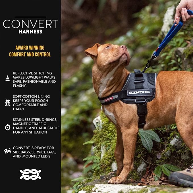 EzyDog Convert Dog Harness – Trail-Ready Rugged Harness for Walking, Hiking & Outdoors with Reflective Piping, Badge Attachment Points, Traffic Handle, & Comfort Lining (Medium, Blue)