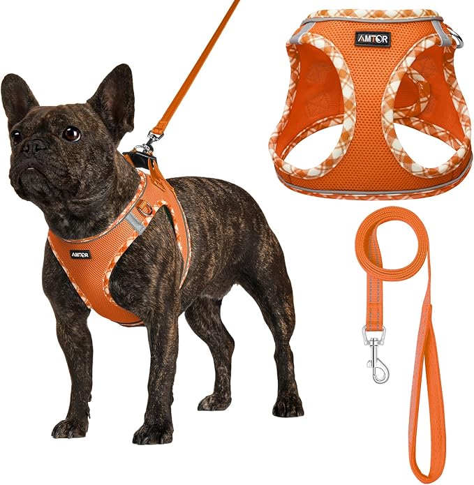 AMTOR Small Dog Harness with Leash Set, No Escape Easy Walk Puppy Harnesses for Training Walking, Step-in Reflective Soft Dogs Vest for XS S Medium Extra-Small Large Sized Dog(XXS Size,Orange/White)