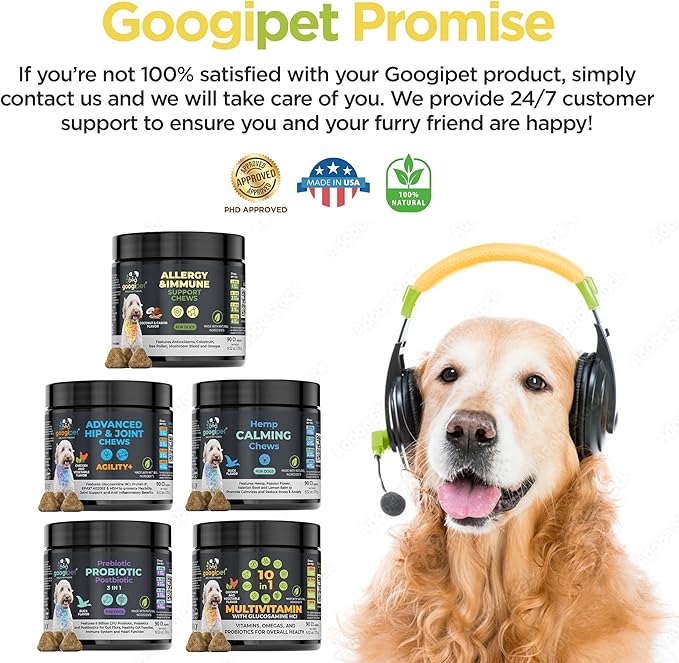 Googipet Dog Allergy Chews, Seasonal Dog Allergy Relief & Itchy Skin Relief, Skin & Coat Supplement +Bee Pollen, Colostrum, Coconut Oil, Probiotics, & Omega 3 Fish Oil for Dogs (Peanut Butter Flavor)