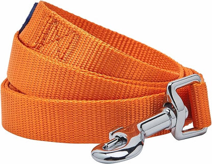 Blueberry Pet Essentials Orange Vermilion Dog Leash for Medium - 5' * 3/4" Dogs | Heavy Duty Nylon Lead | Lightweight Puppy & Cat Leash for Walking & Training