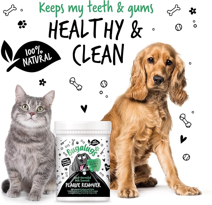 BUGALUGS Plaque Off Remover for Dog Teeth & Bad Breath 100% Natural | Plaque Off No Toothbrush or Dog Toothpaste | Remove Dog Bad Breath & Plaque Remover for Dogs & Cats (Dog 70g)