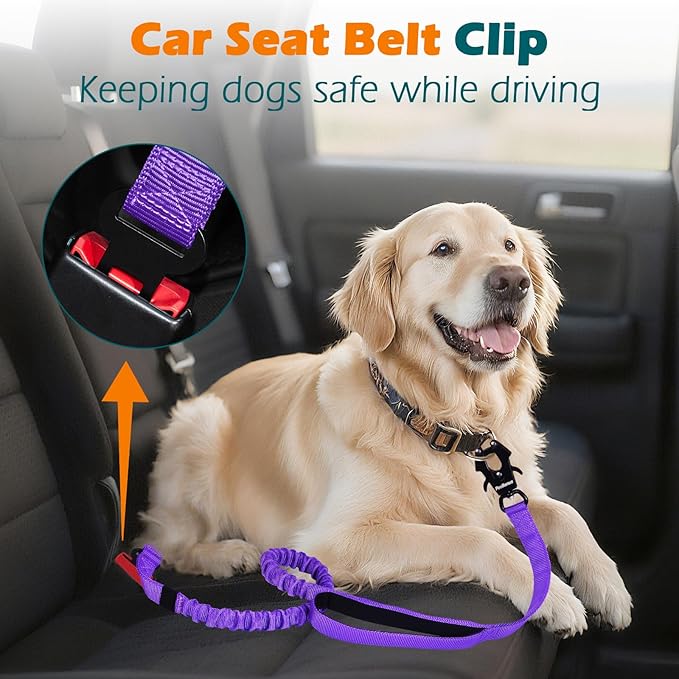 PetBonus Heavy Duty Tactical Dog Leash, 5 FT Bungee Shock Absorption Leash with 2 Padded Handles, Quick Release Metal Clip, Car Seatbelt, No Pull Training Lead for Large Medium Dogs（Purple）