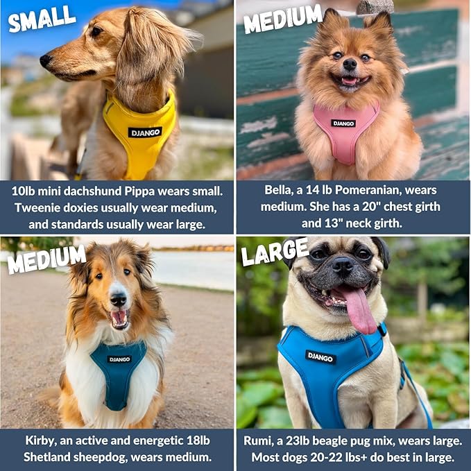 DJANGO Adventure Dog Harness - Stylish Large Dog Harness for Outdoor Adventures and Everyday Wear - Dandelion Yellow Neoprene Adjustable Harness for Dogs with Reflective Piping and Solid Brass D-Ring