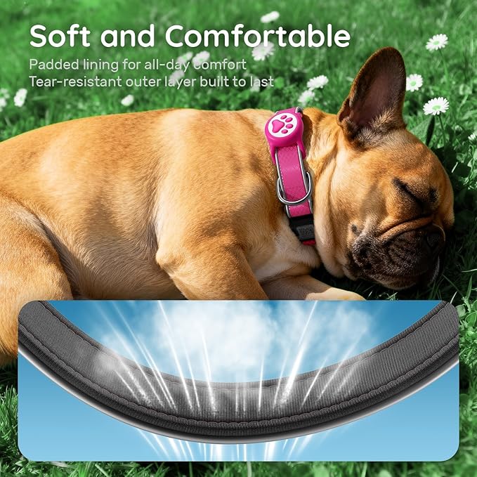 Reflective Dog Collar with Waterproof air tagholder & Anti-Lost QR Code | Ultra-Durable | Soft Padded | Safety Locking Buckle | Fit Large Dogs (Rose Red L(15.7"-23.6"))