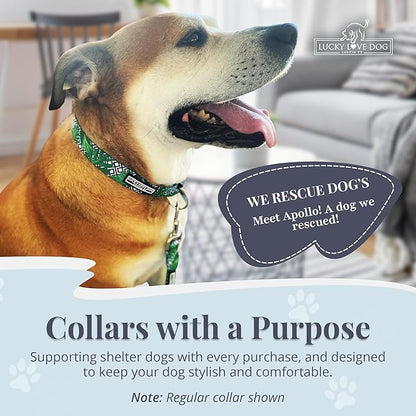 Lucky Love Dog Collar, Beautiful & Vivid Pattern Medium Boy Dog Collars, Easy On & Off Clasp Accessory (Blue Laguna, M)