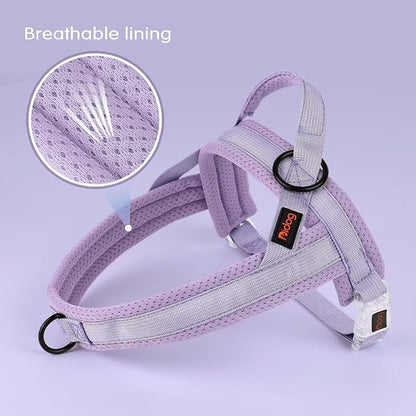 Didog No Pull Dog Harness with Breathable Mesh Padded, Quick Fit & Easy on Dog Vest Harness for Small Medium Large Dogs Training Walking(Purple,L)