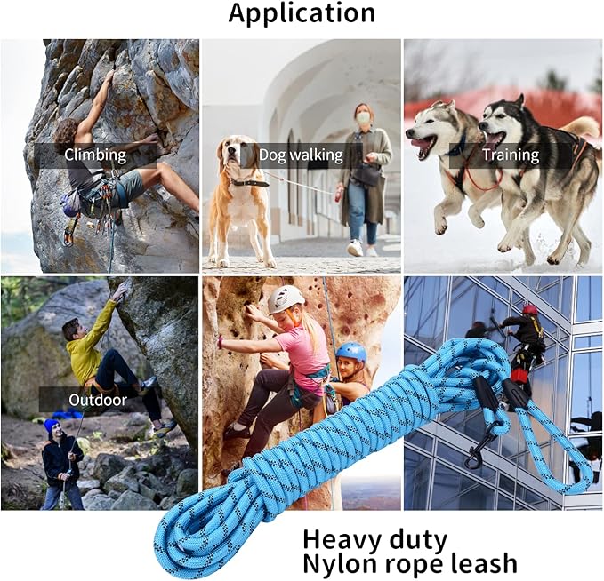 Long Dog Leash for Training 15Ft-Reflective Nylon Rope with Swivel Hook-Recall Agility Lead for Large Small Medium Dogs Outside Walking Hiking-Sky Blue