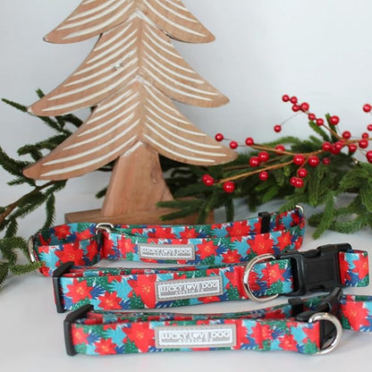 Lucky Love Dog - Easy Click Noel Dog Collar with Leash Set Combo, Durable & Comfortable for Male & Female Dogs, Pet Collar for Large Dogs, Secure Fit - Noel Combo, Large