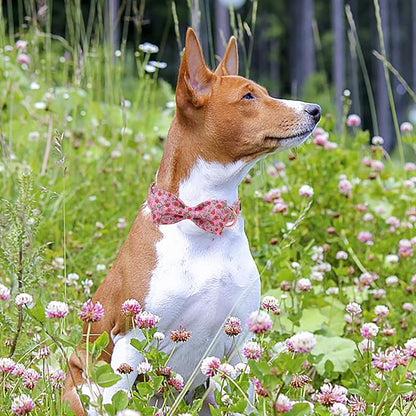 Cute Dog Collar with Bow Tie, Spring Summer Strawberry Bowtie Dog Collar, Durable Adjustable Cotton Pet Collar for Small Medium Large Dogs L