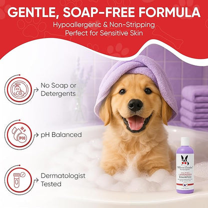 Warren London Calming Lavender Dog Shampoo | Softening Aloe Vera & Essential Oils for Dogs | Leaves Coat Silky & Smelling Amazing | Gentle & Soap-Free | Made in USA – 17 oz