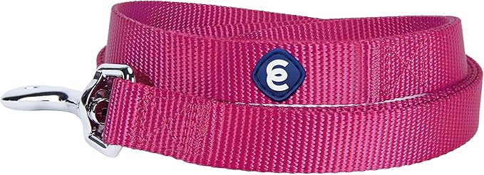 Blueberry Pet Essentials Very Berry Dog Leash for X-Small -5' * 3/8" Dogs | Heavy Duty Nylon Lead | Lightweight Puppy & Cat Leash for Walking & Training