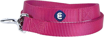 Blueberry Pet Essentials Very Berry Dog Leash for X-Small -5' * 3/8" Dogs | Heavy Duty Nylon Lead | Lightweight Puppy & Cat Leash for Walking & Training