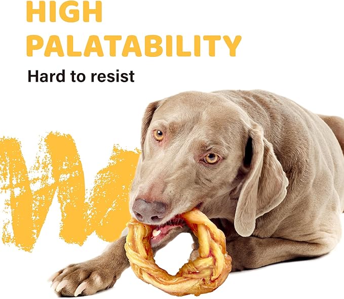 iPaw 10 Pcs Value Pack Turkey Tendons for Dogs, 100% Turkey and US Sourced Raw Material, Hypoallergenic, All Natural Human Grade Puppy Chew, Rawhide Alternative Dog Treats, Ring (Small)