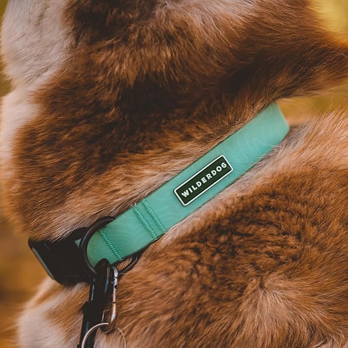 Wilderdog Waterproof Dog Collar - Repels Water & Dirt - Medium 13"-18" - Seafoam