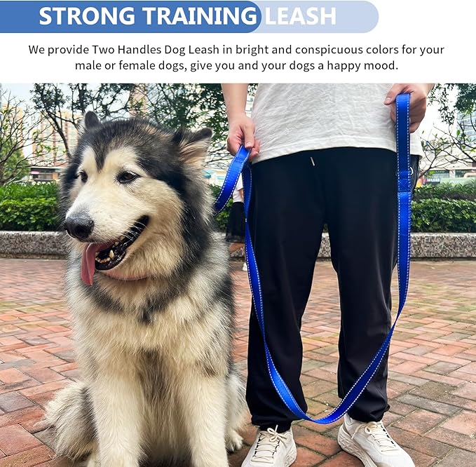 Strong Heavy Duty Dog Leash - 6ft Reflective Nylon Training Leash with Soft Padded Double Handle & Auto Lock Frog Clip, Safety Traffic Control for Large Medium Small Dog No Pull Walking (DarkBlue,6ft)