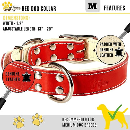 ADITYNA Heavy-Duty Leather Dog Collar for Medium Dogs - Soft Padded for Comfort - Red Dog Collar for Walking, Training, and Hiking