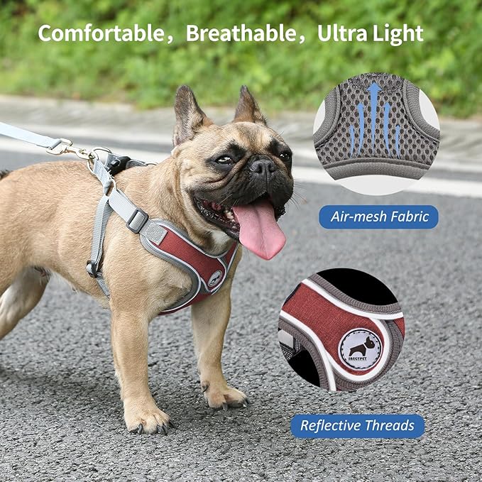 Dog Harness with Leash Set, Adjustable Step in Collars Harness with Breathable Padded Vest for Small Medium Large Dogs Training and Running(L, Red)