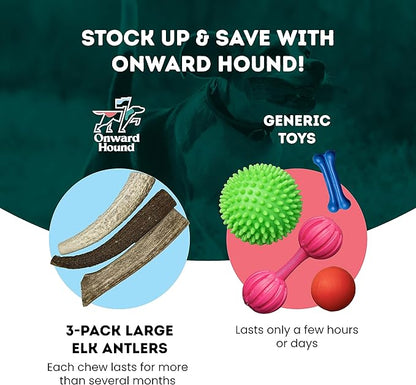 Onward Hound Elk Antlers for Dogs, 7"+ Large 3-Pack, Grade A Long Lasting Chew for Aggressive Chewers, Premium USA Naturally Shed Antler - Healthy, No Odor, Durable Dog Chew for 30-65lb Breeds