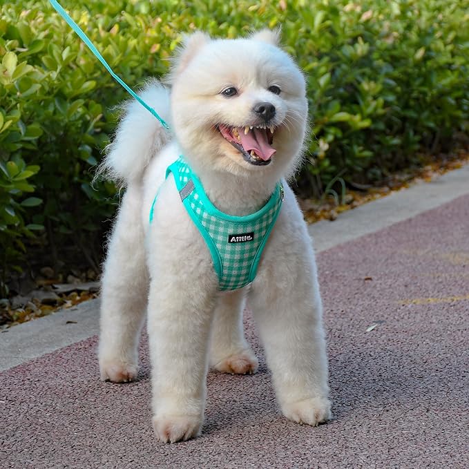 AIITLE No-Pull Pet Harness with a Leash, Plaid Comfort Padded Vest, Step in Dog Harness, Reflective Bands, Soft Breathable Pet Supplies, for Small and Medium Dogs and Cats Turquoise S