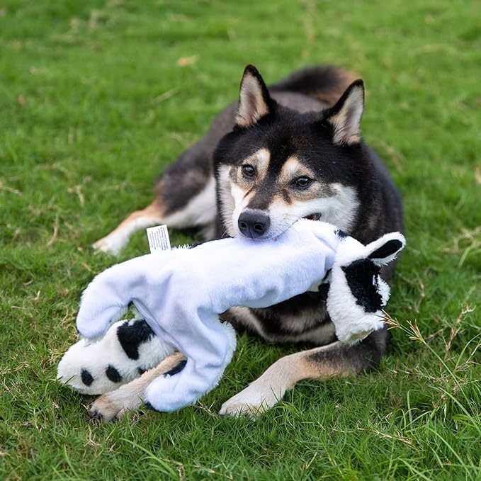 Best Pet Supplies Squeaky Dog Toys with Soft Durable Fabric for Small, Medium and Large Pets Interactive Toy for Indoor Play, Supports Active Biting and Play - Sheep, Cow, Medium
