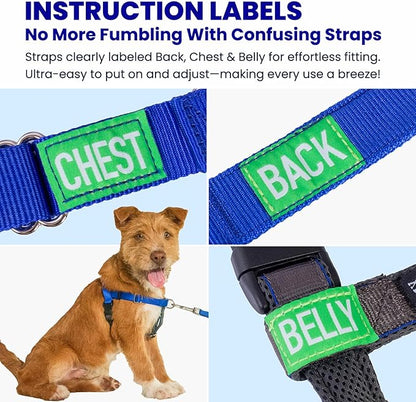 Freedom No Pull Dog Harness, Easy Walker, Stop Pulling with Two Stainless D-Rings, Comfortable, Sewn-in Instructions Tags for Easy Use, for Small Dogs Weight 20-30 lbs (Black, Small)