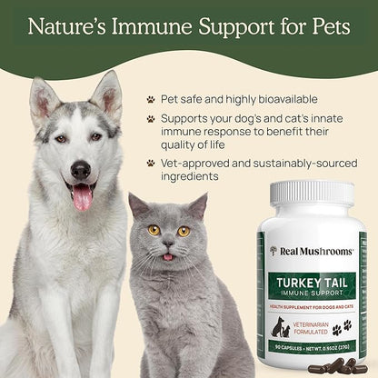 Real Mushrooms Turkey Tail Capsules for Pets –Cat Probiotics & Dog Vitamins – Organic Mushroom Supplement for Dogs & Cats – Supports Daily Balance & Well-Being Non-GMO, 90 ct