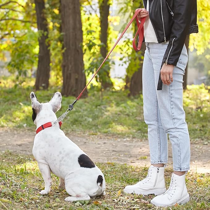 Dogline Biothane Waterproof Dog Leash 2/4/6 Ft Strong Coated Nylon Webbing with Black Hardware Odor-Proof Easy to Clean High Performance for Small or Large Dogs Made in USA, Cherry Red