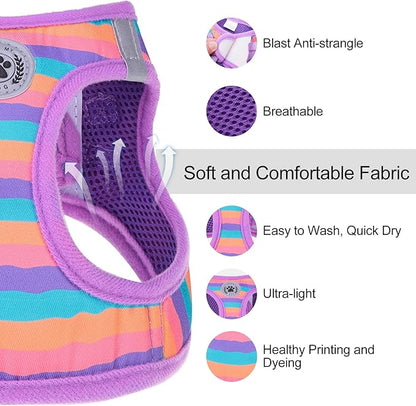 BEAUTYZOO Dog Harness and Leash Set for Small Dogs,No Pull Step-in Harness for Puppy XS S Sized Dogs and Cats,Air Mesh Adjustable Breathable Soft No Choke Escape Proof Vest Harnesses,Striped Purple XS